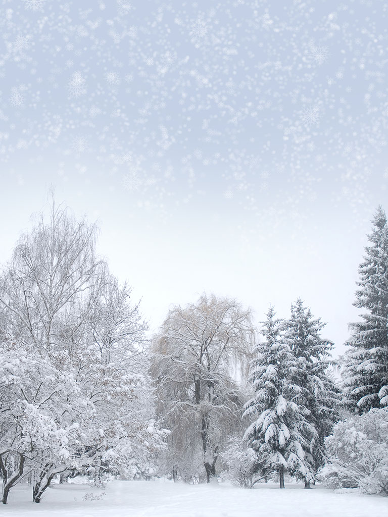 Background image snowy